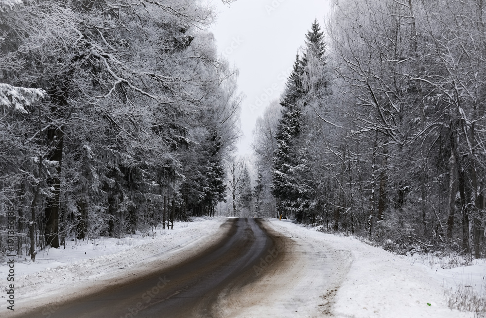 Obraz premium winter road in the woods