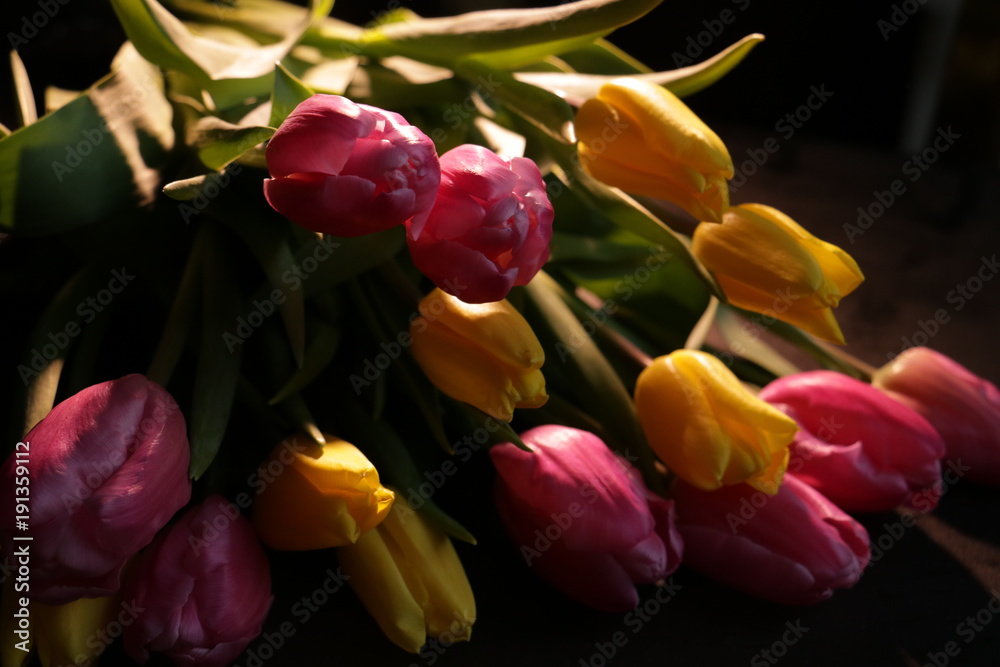 bouquet of yellow and pink tulips isolated bouquet of yellow and pink tulips isolated
