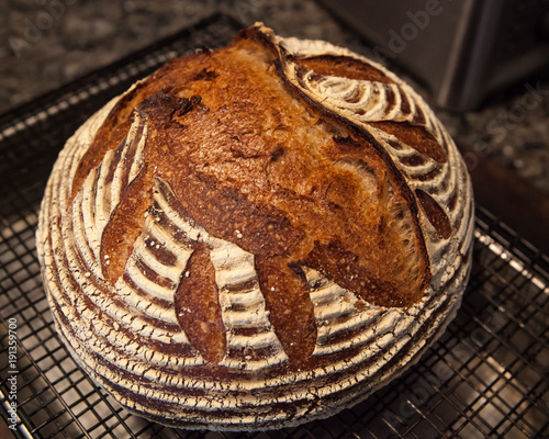Delicious rustic sourdough baked bread photo