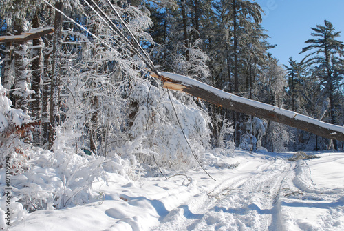 Frozen landscape after a winter blizzard causing damage