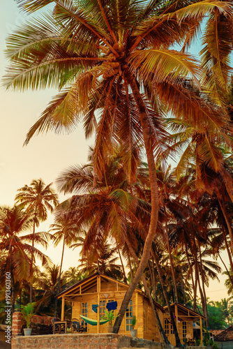 wooden bungalow among tropical coconut palms. Tinted.