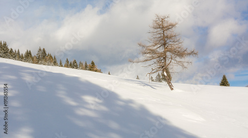 winter landscape in a mountain valley with snow.