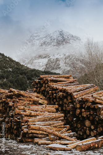 Woods stacked and prepared