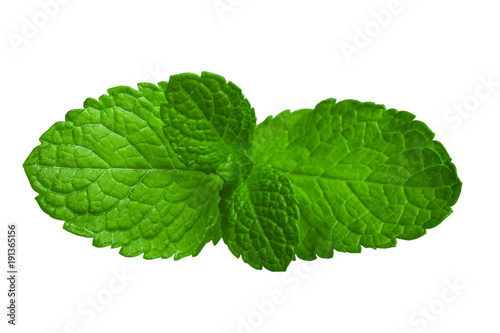 Mint leaf isolated on a white background