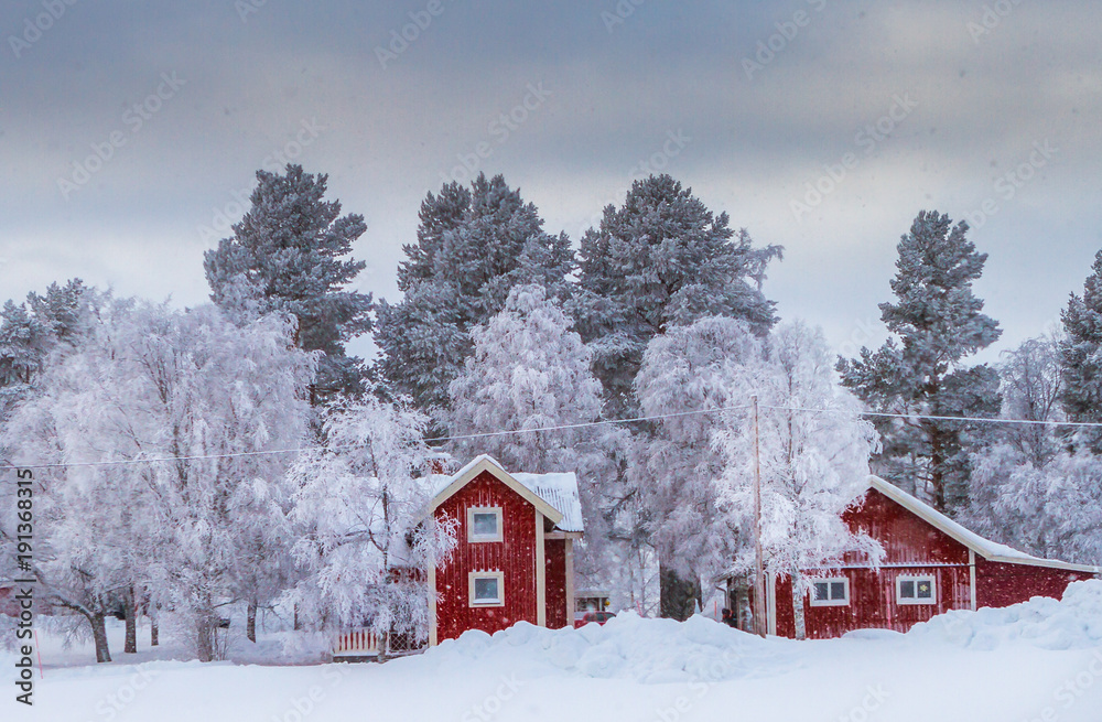 Cold winter in Sweden