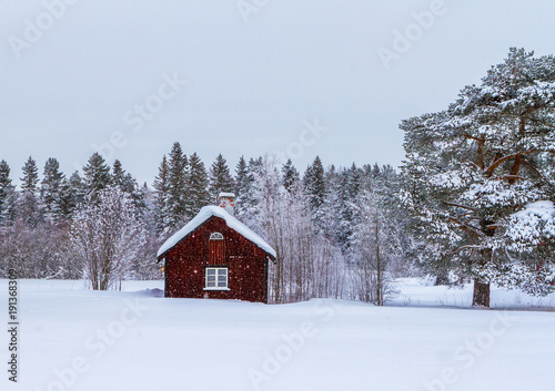 Cold winter in Sweden