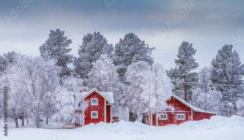 Cold winter in Sweden photo