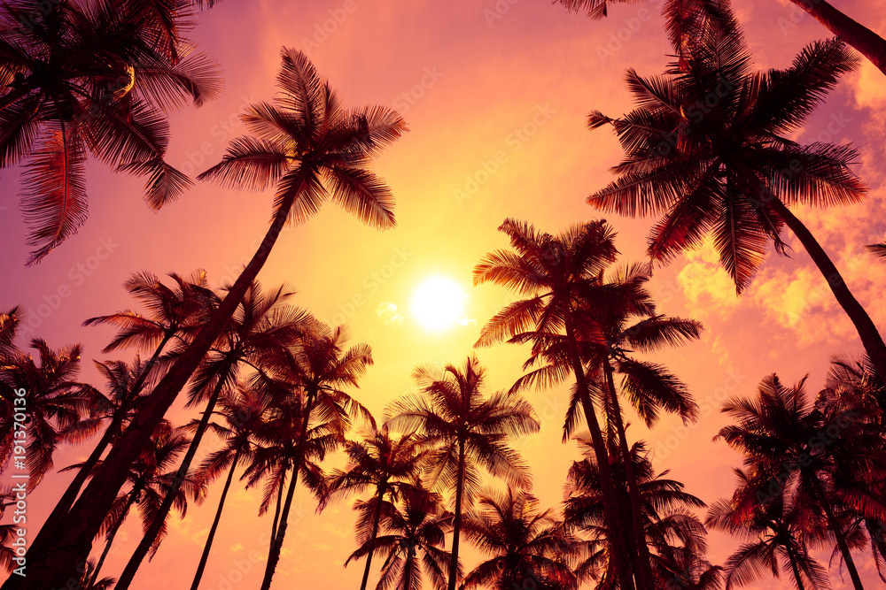 Warm tropical sunset Warm tropical sunset