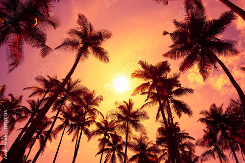 Warm tropical sunset