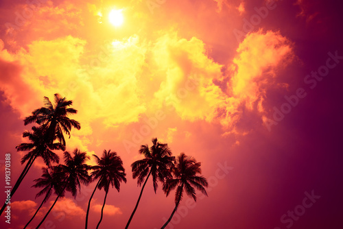 Tropical palm trees at sunset beach on vacation island with shining sun and colorful clouds as copy space