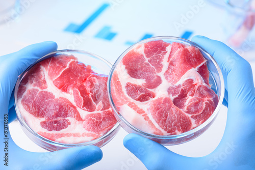 Two meat samples in laboratory Petri dishes. Lab meat test concept.