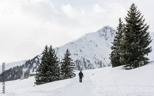 A skier in winter nature walking through snowy landscape © lorenza62