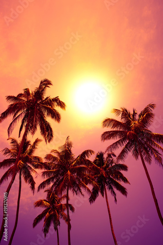 Tropical palm trees at vivid sunset © nevodka.com
