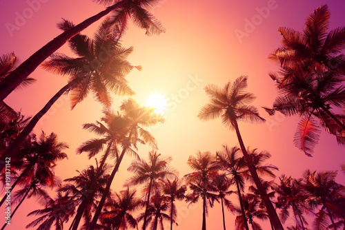 Tropical sunset on a beach with palm trees © nevodka.com