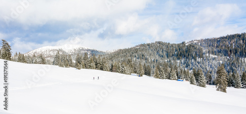 Group of people in winter nature walking through snowy landscape
