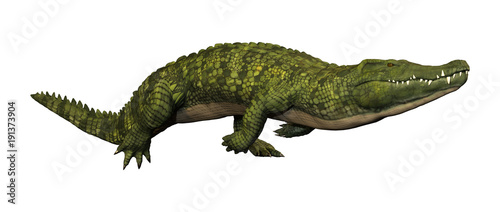 3D Rendering Green Crocodile on White