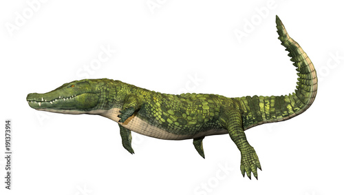 3D Rendering Green Crocodile on White © photosvac