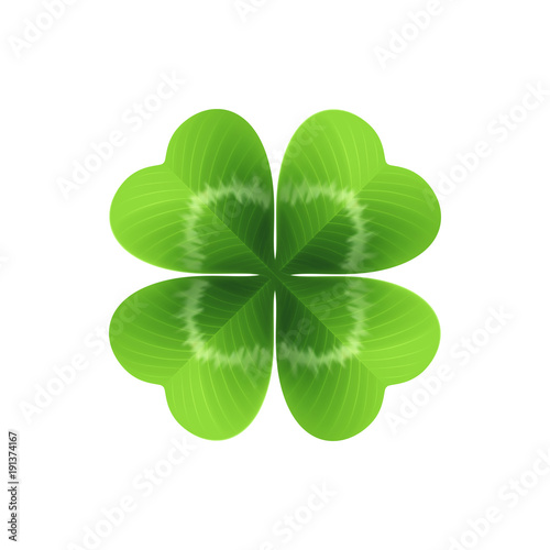 Four leaf clover isolated on white. Vector illustration