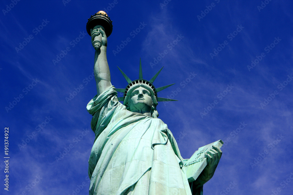 Fototapeta premium The Statue of Liberty on Liberty Island in New York Harbor in New York City, United States