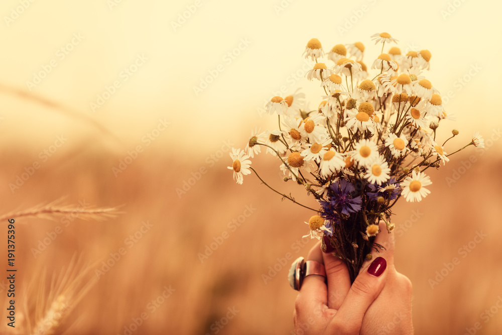Naklejka premium Girl holding flowers in a wheat field.