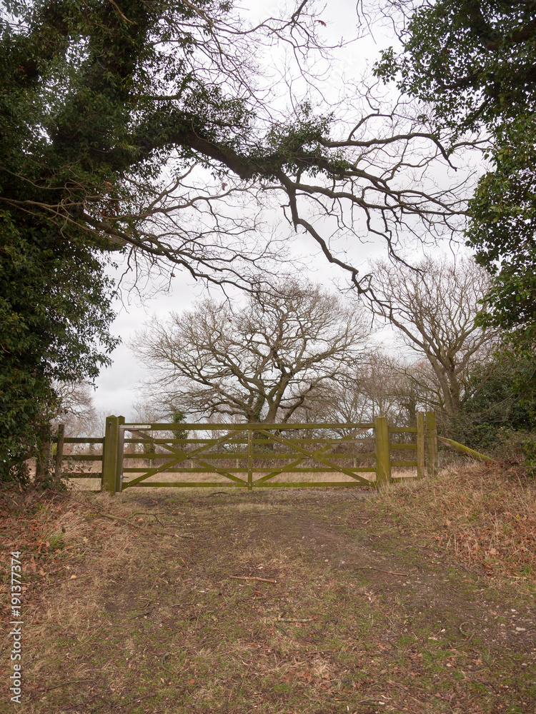 wooden gate fence tree country private field farm