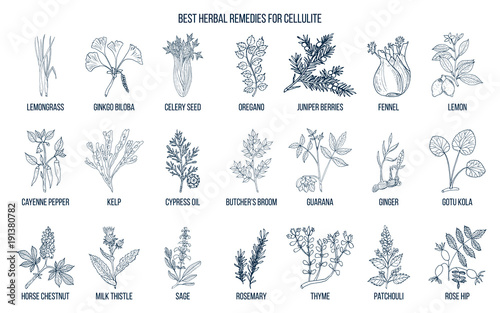 Collection of best herbs for cellulite photo