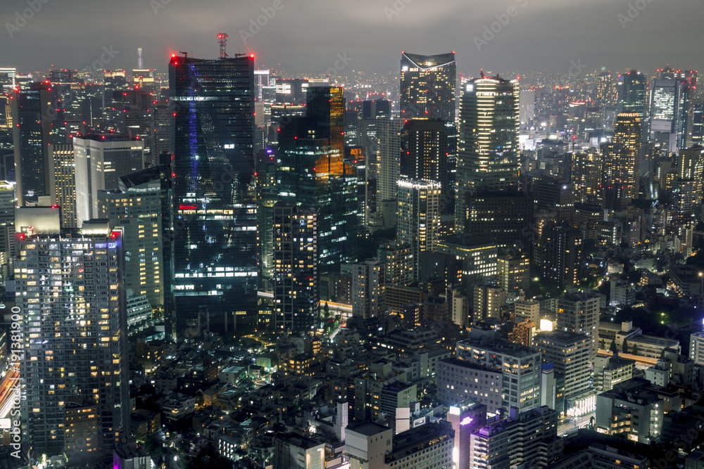 Fototapeta premium Panoramę Tokio w nocy