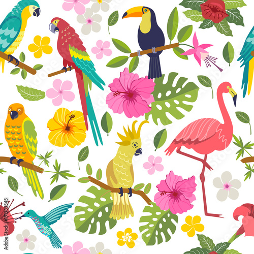 set of tropical birds