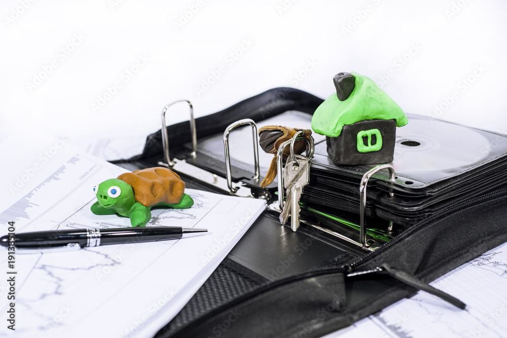 Naklejka premium Abstract photo of slow property buying process. Documents case with turtle.
