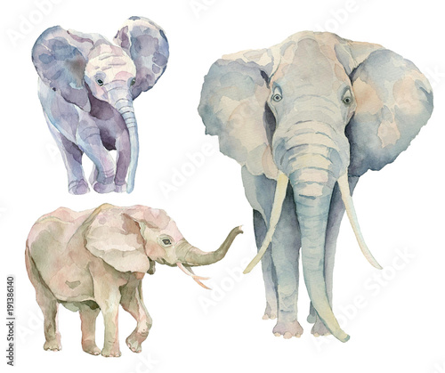 Set of watercolor elephants