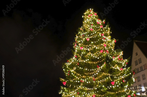 Christmas tree in Town Hall Square - Tallinn, Estonia. Christmas postcard blank. 