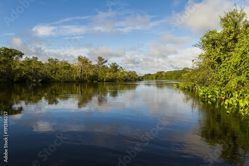 pantanal  brazil