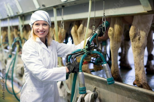 Foto Female technician working with milking machines