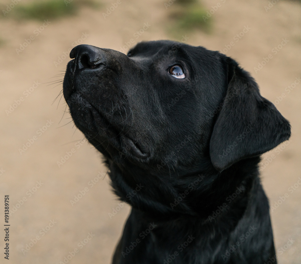 Please can I go play?