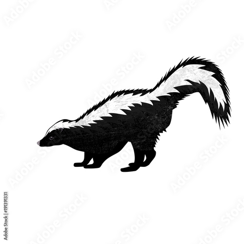Cute Skunk in flat style isolated on white background. Vector illustration. Forest animal. Cartoon skunk.