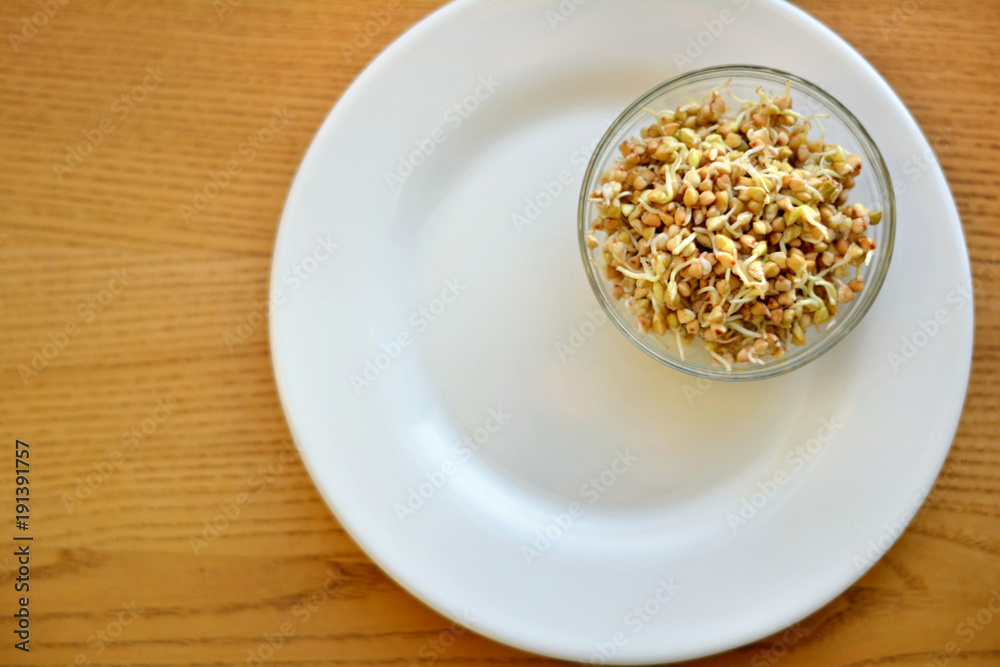 Fresh buckwheat sprouts for healthy eating Fresh buckwheat sprouts for healthy eating