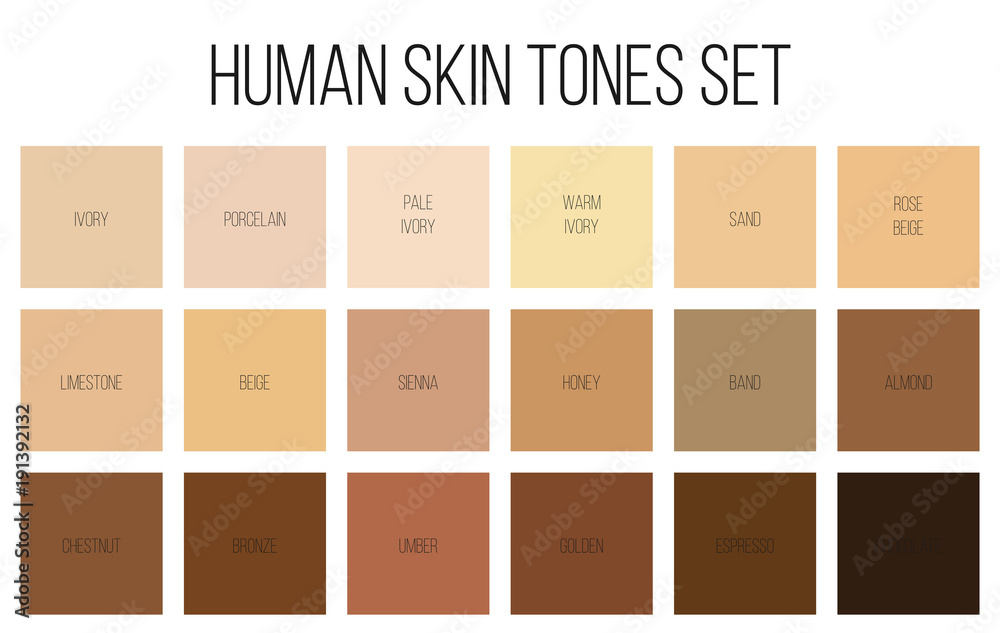 Vecteur Stock Creative vector illustration of human skin tone color palette  set isolated on transparent background. Art design. Abstract concept person  face, body complexion graphic element for cosmetics | Adobe Stock