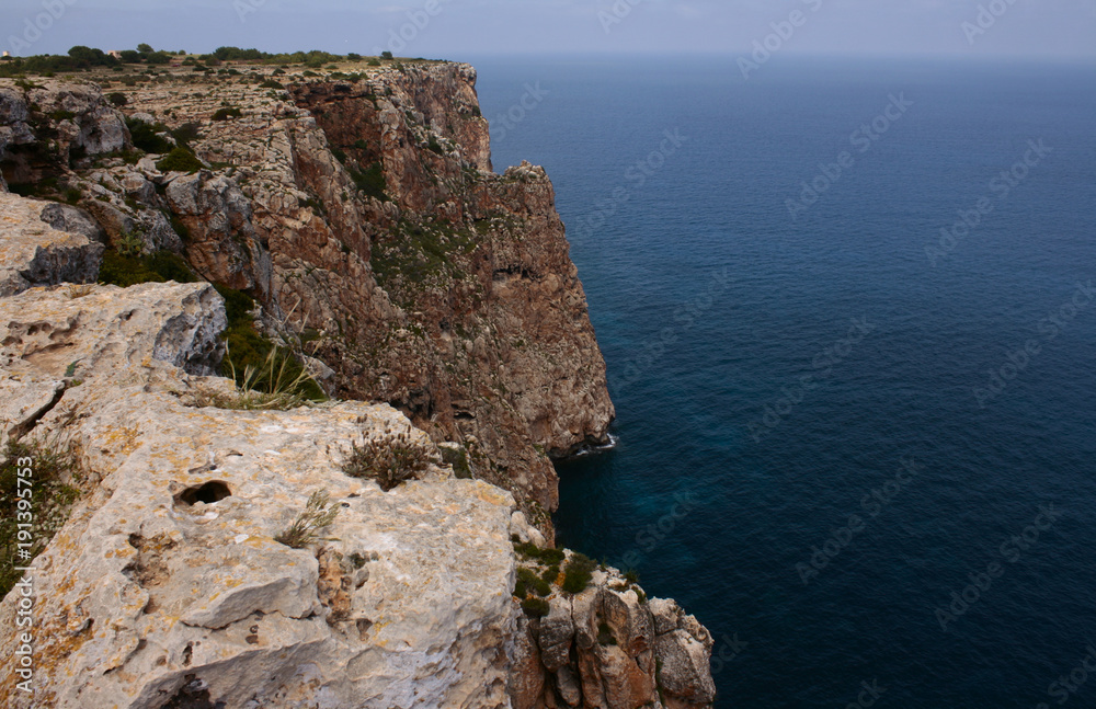 Nature in Formentera island