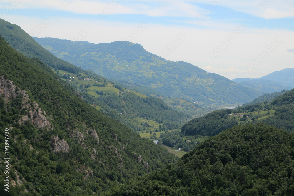 Biogradska gora, National Park, Montenegro