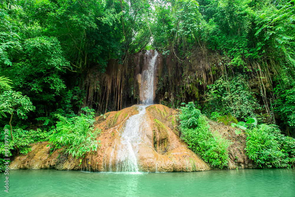 Naklejka premium Waterfall, Tropical Climate, Rainforest, Water, Plant