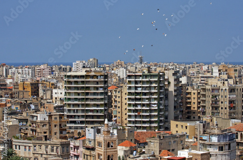 Pigeons flying from a rooftop in Tripoli, Lebanon