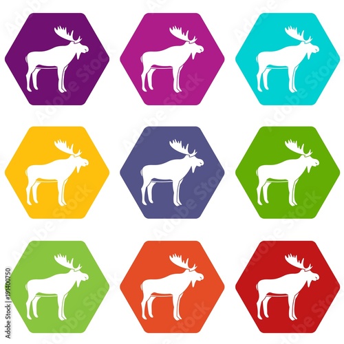Deer icon set color hexahedron