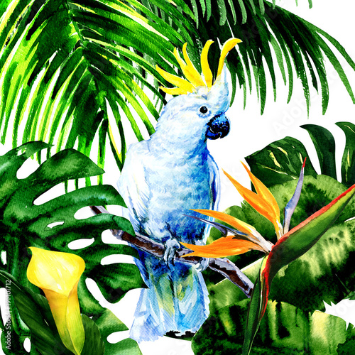 Beautiful white Cockatoo, colorful big parrot in jungle rainforest, exotic flowers and leaves, watercolor illustration