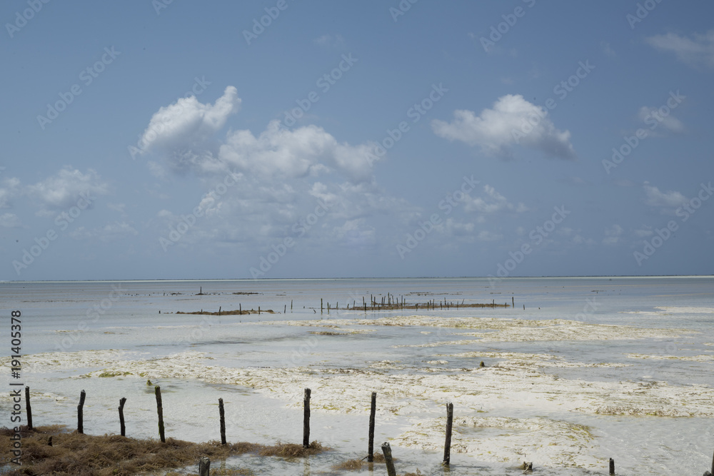 white sand beach on low tide, Zanzibar