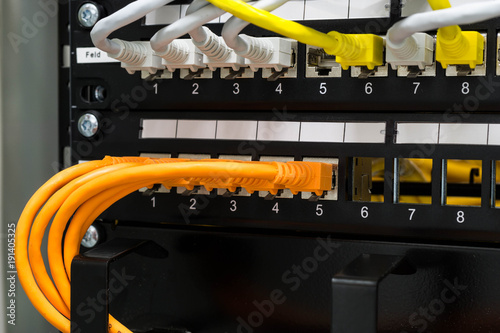 Netzwerktechnik LAN-Kabel in einem Switch