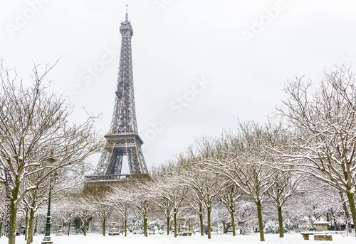 Obraz Zima w Paryżu w śniegu. Wieża Eiffla widziana z Champ de Mars z ośnieżoną aleją wysadzaną drzewami na pierwszym planie.