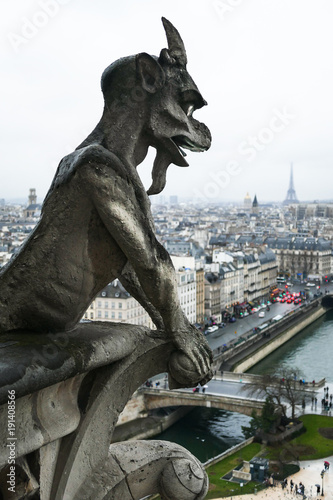Gargoyle at Notre Dame. 