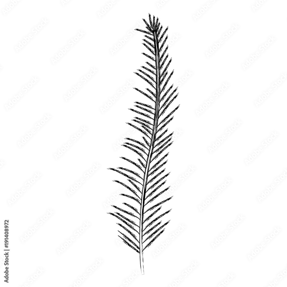 stem with thin leaves on blurred silhouette vector illustration