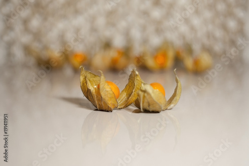 Ground cherry husk tomato chinese lantern on reflective white surface photo