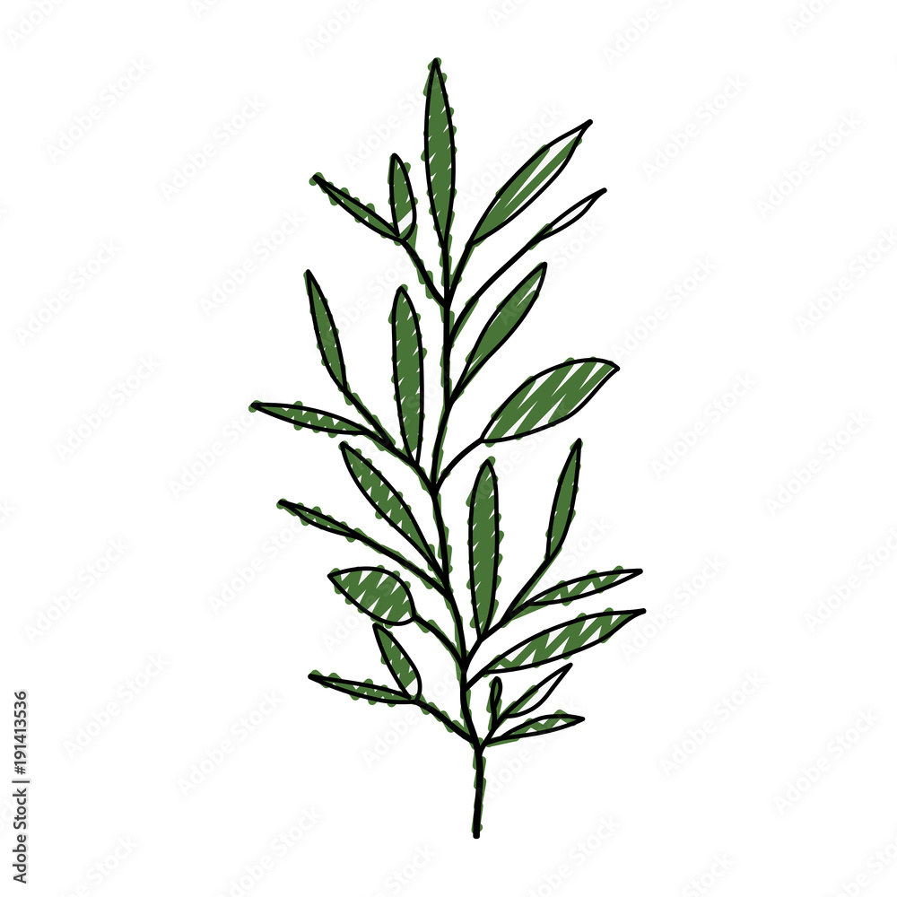 Obraz premium ramification with several leaves on color crayon silhouette vector illustration